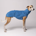 Load image into Gallery viewer, Windhund Fleece Shirt in Sky Blue