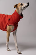 Load image into Gallery viewer, Whippet trägt handgenähtes Hundeshirt aus Polar Fleece – perfekt angepasst für lange Rücken und schmale Taillen
