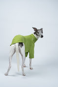 Load image into Gallery viewer, Whippet zeigt körpernahen Light Green-Pullover aus Fleece – stilvoller Alltagsbegleiter