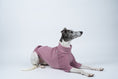 Load image into Gallery viewer, Liegender Whippet im gemütlichen Fleecepullover in Mulberry – weich und wärmend