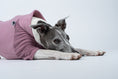 Load image into Gallery viewer, Zartes Rosa trifft auf Funktion – liegender Whippet im Pullover aus weichem Fleece