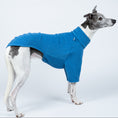 Load image into Gallery viewer, Fleece-Pullover in hellem Himmelblau an einem stehenden Whippet – bequem, leicht und funktional