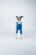 Load image into Gallery viewer, Whippet präsentiert Windhund-Pullover in Sky Blue vor weißem Hintergrund – stilvoll und atmungsaktiv