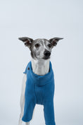Load image into Gallery viewer, Hellblauer Fleecepullover für Windhunde – Whippet zeigt perfekten Sitz und zeitlosen Look