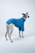 Load image into Gallery viewer, Seitenansicht: Whippet trägt körpernahen Fleecepullover in Sky Blue – stilvoll und bewegungsfreundlich