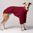 Load image into Gallery viewer, Seitenansicht - Whippet trägt Pullover in Bordeaux Made in Germany