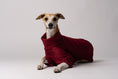 Load image into Gallery viewer, Nahaufnahme: Whippet trägt Pullover in Bordeaux – weiches Fleece, perfekt verarbeitet für schmale Körperformen