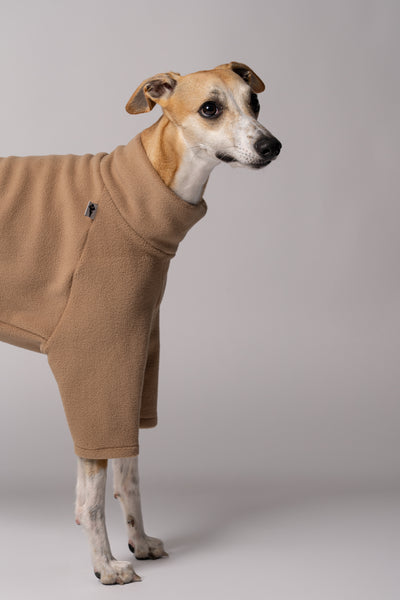 Detailaufnahme - Whippet in warmen und funktionalem Hundepullover aus Polar Fleece Made in Germany