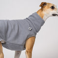 Load image into Gallery viewer, Nahaufnahme: Whippet im Light Grey Long Shirt – angenehmer Tragekomfort für Windhunde