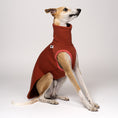 Load image into Gallery viewer, Whippet Rüde im Sweat-Shirt in Terracotta – warme Farbe, ideal für Herbst und Winter