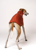 Load image into Gallery viewer, Terracotta Long Shirt auf weißem Hintergrund – perfekter Sitz am jungen Whippet