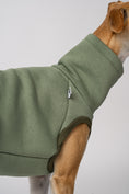 Load image into Gallery viewer, Matcha farbener Sweatshirt für Windhunde Nahaufnahme Bündchen