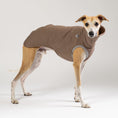 Load image into Gallery viewer, Whippet trägt einen schlichten, braunen Karma-Hund Pullover aus weichem, nachhaltigem Stoff.