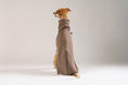 Load image into Gallery viewer, Whippet im braunen Karma-Hund Pullover – gemütlich, funktional und stilvoll.