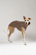 Load image into Gallery viewer, Bequemer brauner Pullover für Whippets von Karma Hund – ideal für kühle Tage.