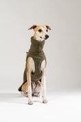 Load image into Gallery viewer, Whippet trägt langes, warmes Teddy Shirt – stilvolle Windhundmode mit elastischem Schnitt