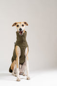 Load image into Gallery viewer, Flauschiges Windhund Long Shirt für Whippets und Silken Windsprites – gemütlich, leicht und wärmend