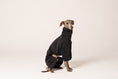 Load image into Gallery viewer, Italienisches Windspiel Fleece Overall von Karma Hund