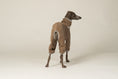 Load image into Gallery viewer, Italienisches Windspiel trägt Overall in Walnut aus weichem Fleece-Material