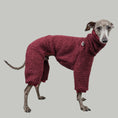 Load image into Gallery viewer, WINTER OVERALL 2.0 Iggy Weinrot