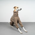 Load image into Gallery viewer, WINTER OVERALL 2.0 Windhund Taupe