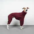 Load image into Gallery viewer, WINTER OVERALL 2.0 Windhund Weinrot
