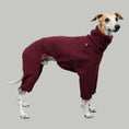 Load image into Gallery viewer, WINTER OVERALL 2.0 Windhund Weinrot