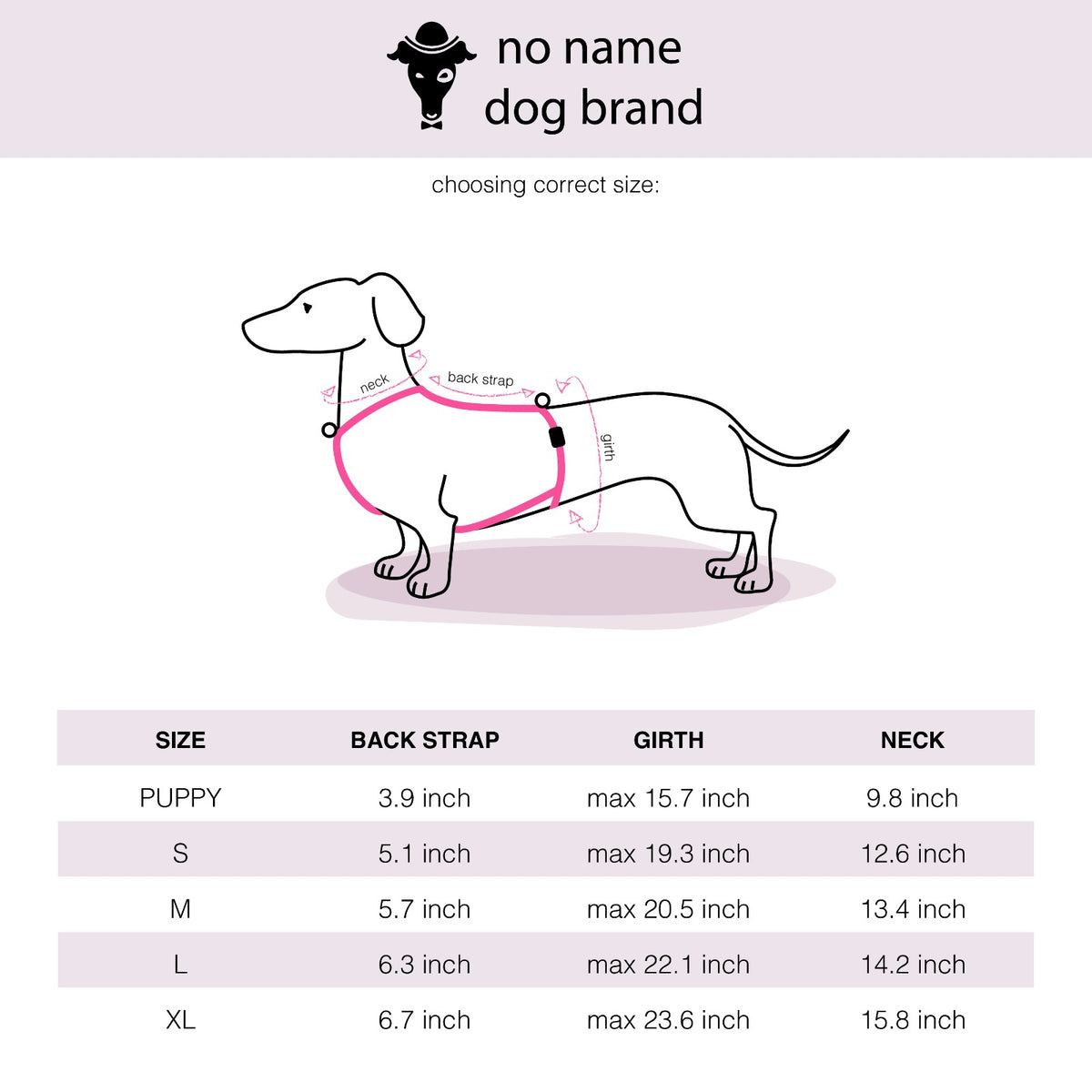 Dachshund store neck size