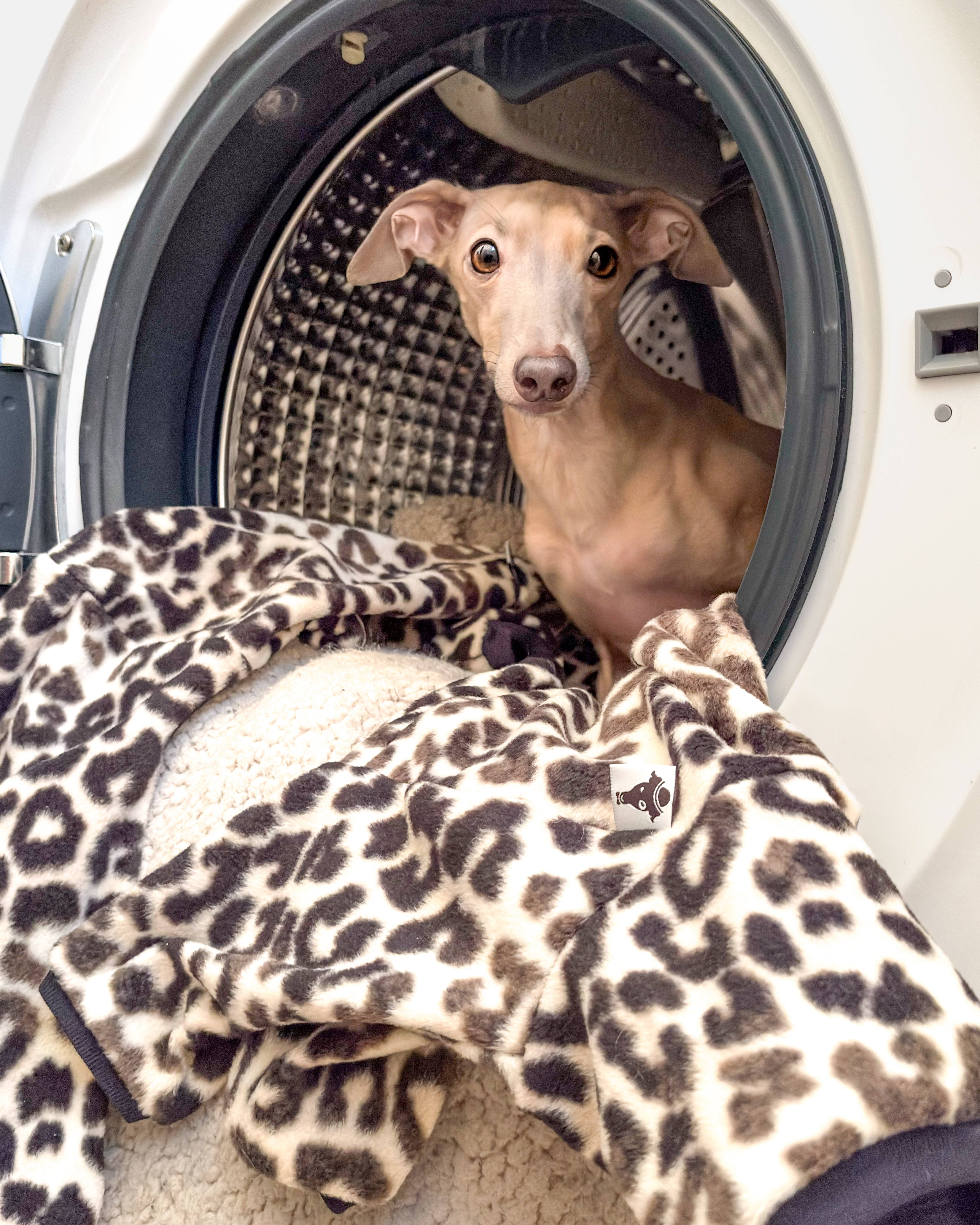 Pflegehinweise für Karma Hund Kleidung