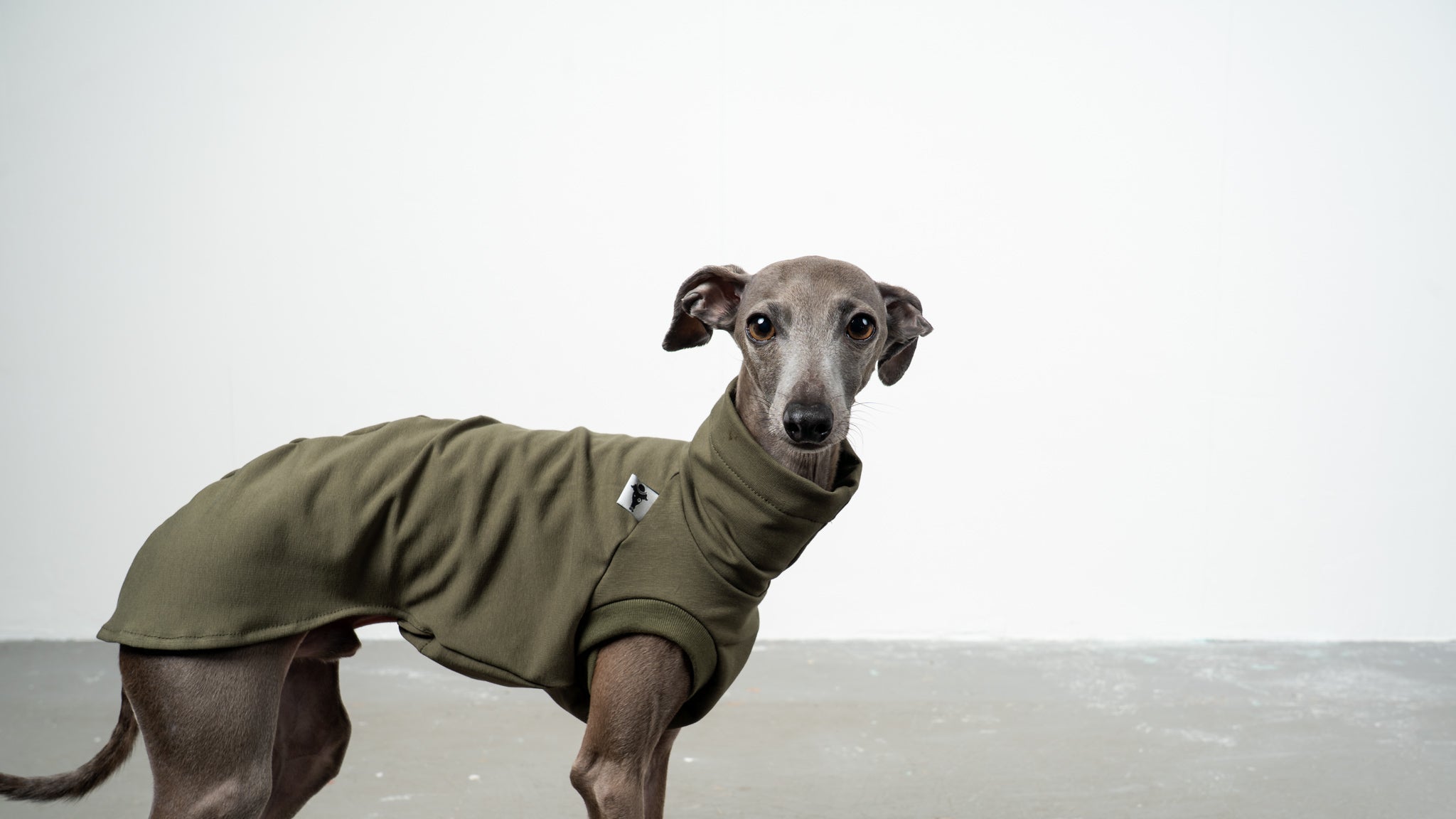 Spring Collection 2026