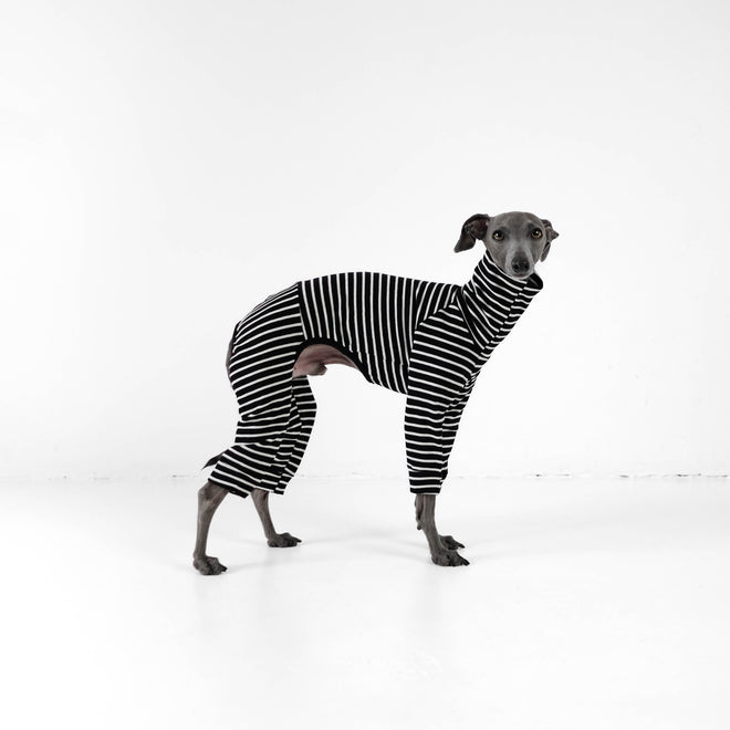 Dog apparel and accessories italian whippet, dachshund – Karma Shop