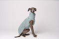 Load image into Gallery viewer, Italian Greyhound Teddy Shirt Mint
