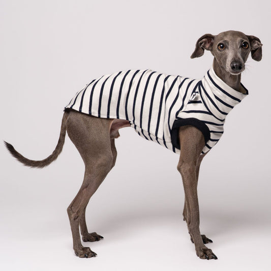 Italienisches Windspiel Baumwolle Shirt