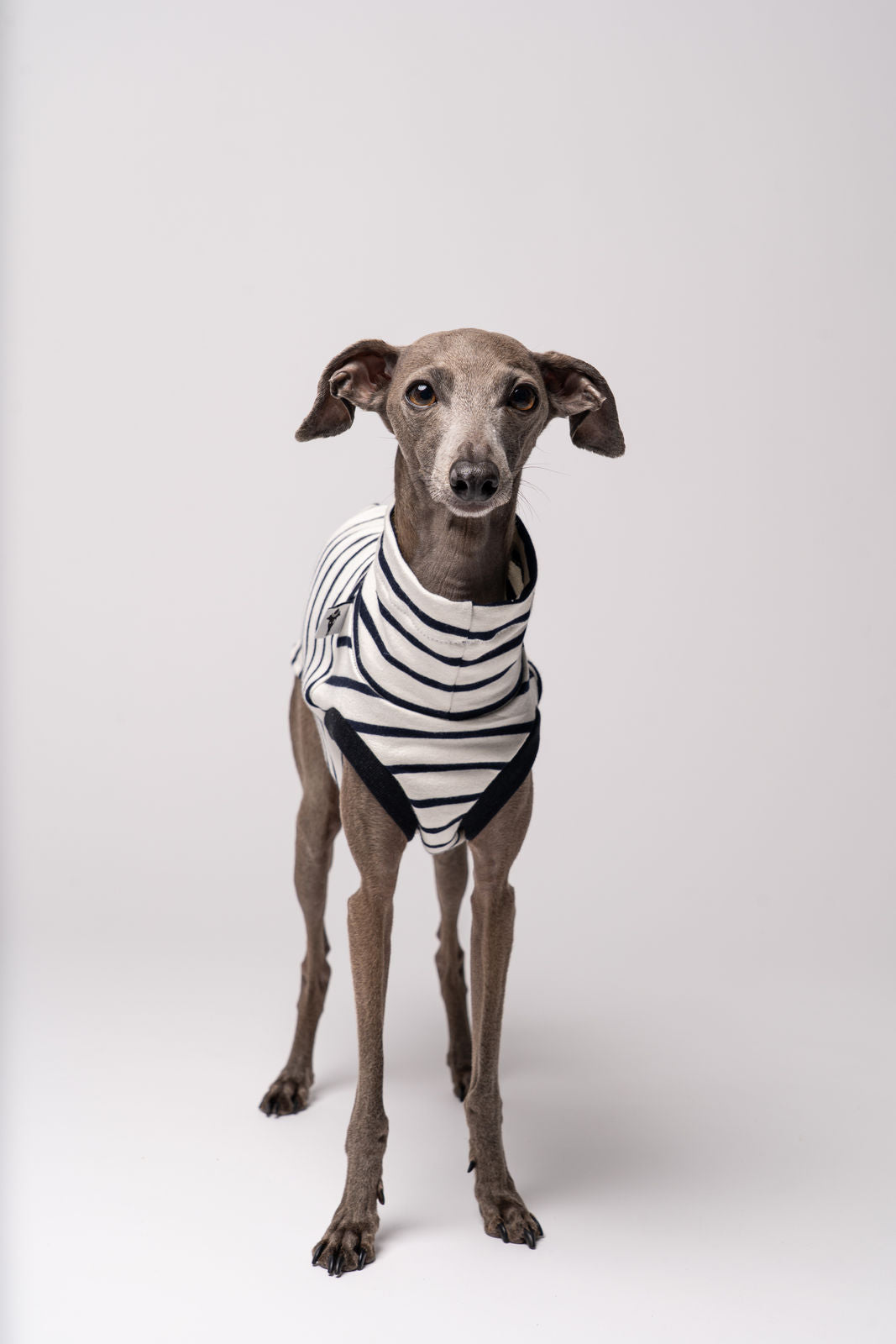 Windspiel Shirt Stripes