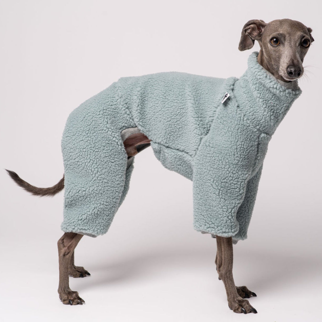 TEDDY OVERALL für Italienisches Windspiel in Mint