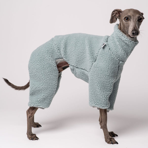 TEDDY OVERALL für Italienisches Windspiel in Mint