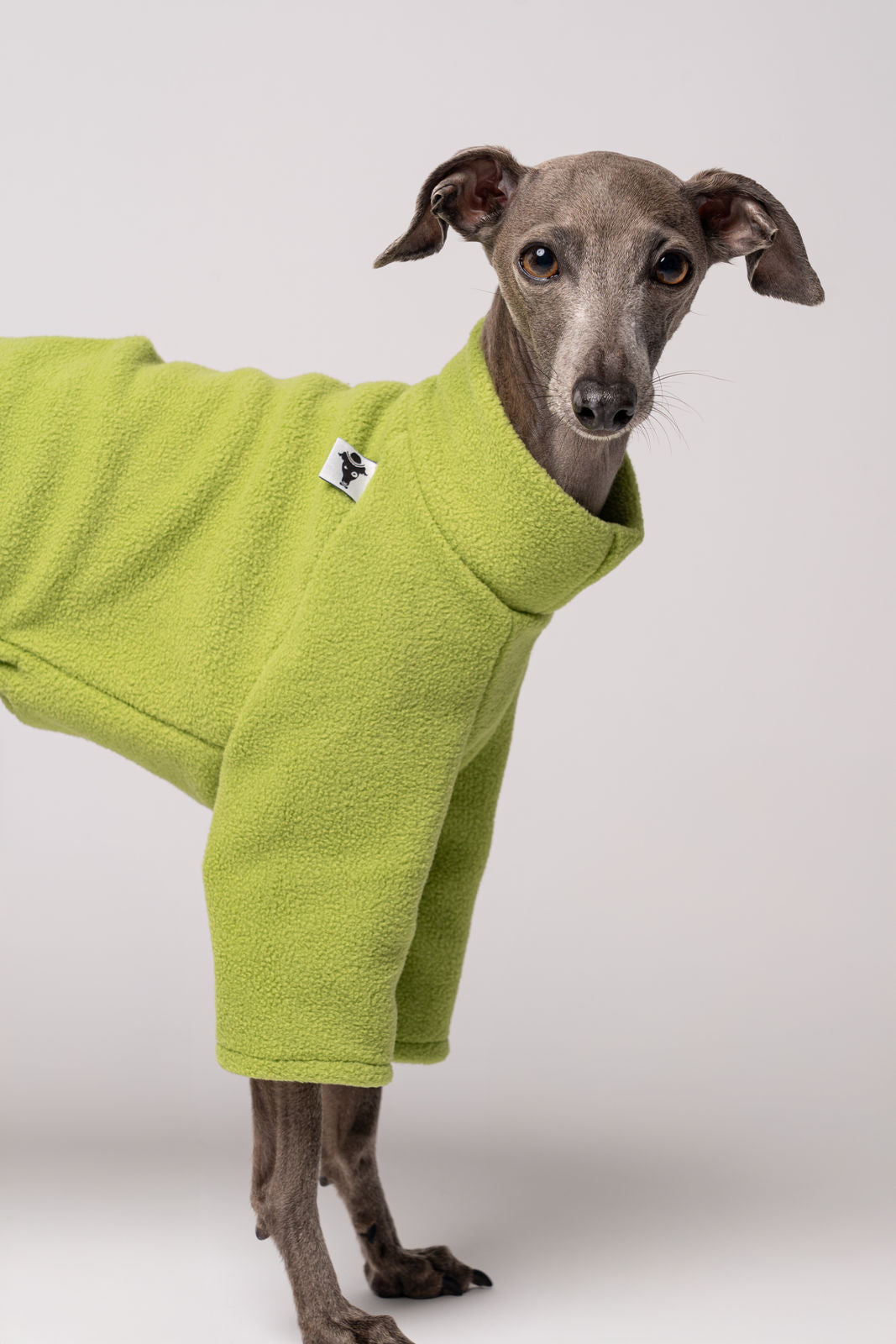 Windspiel Fleece Pullover Light Green