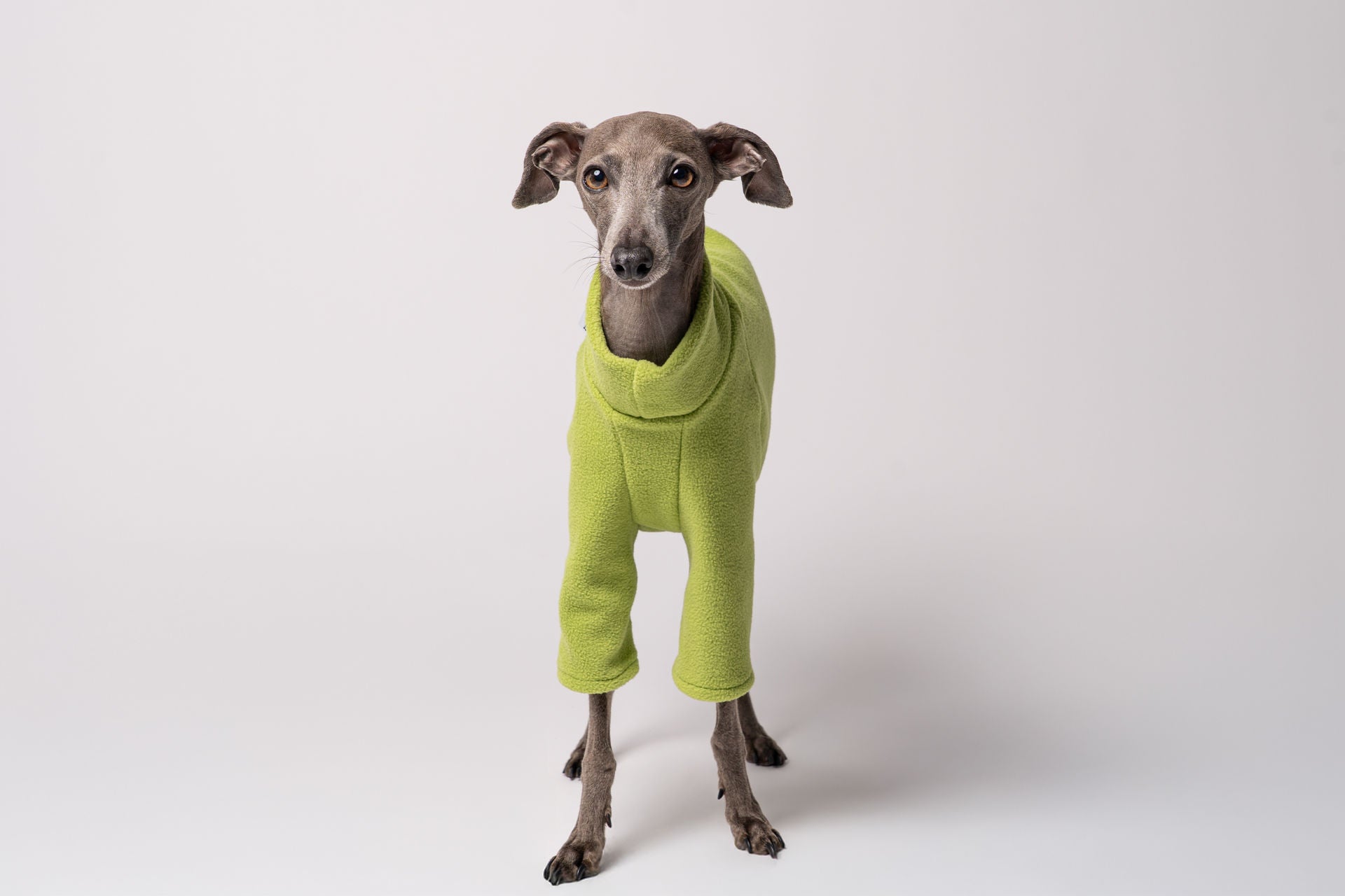 Fleece Pullover für Windspiel Light Green