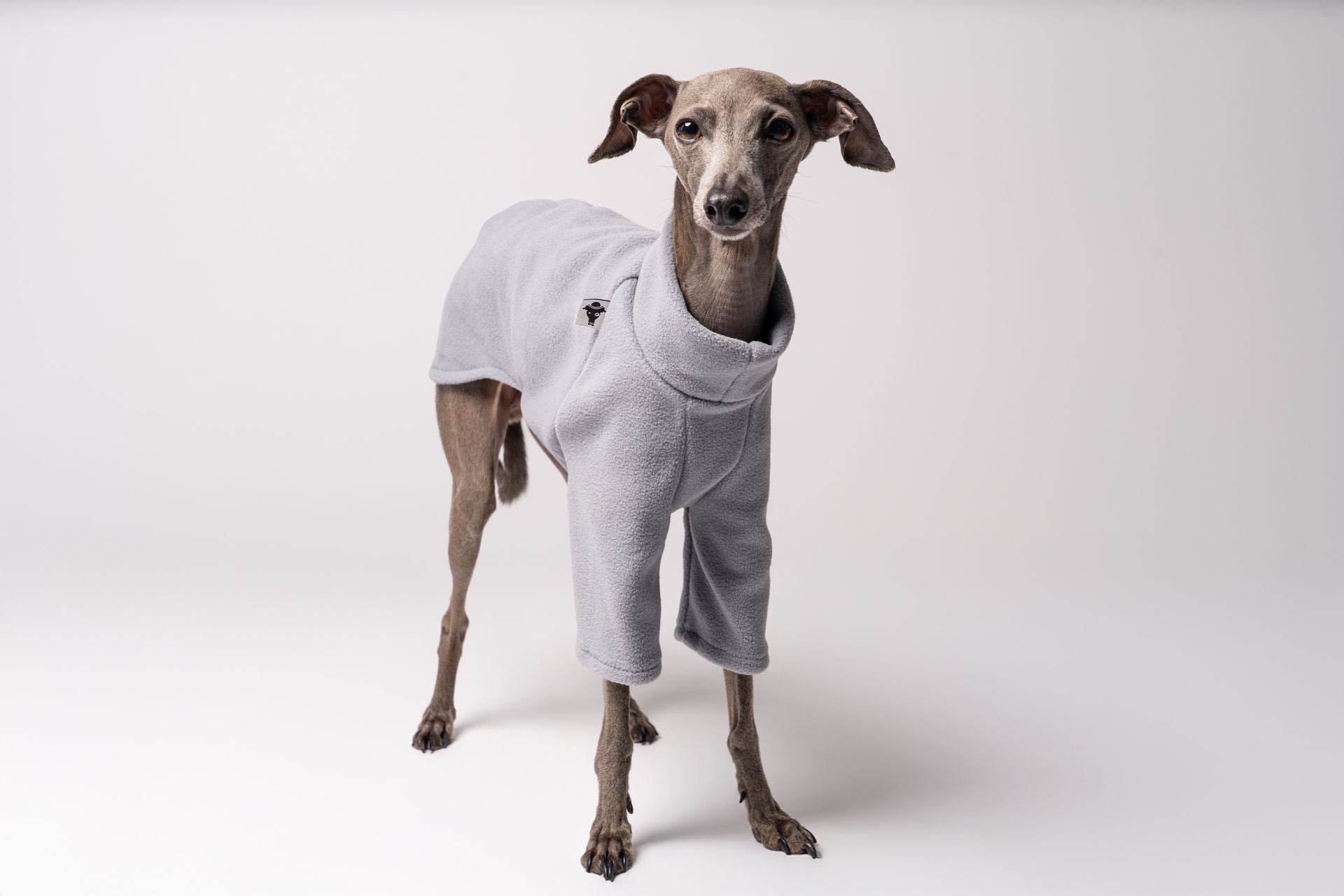 Italienisches Windspiel Pullover Light Gray