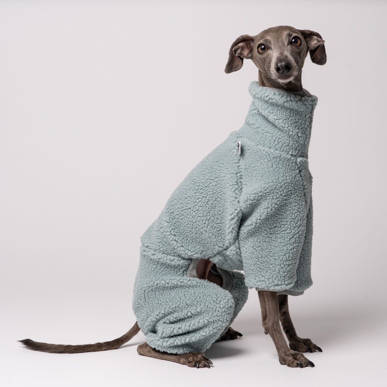 Windspiel Teddy Overall Mint