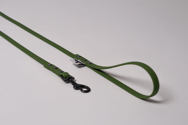 Sommerleine für kleine Hunde in Dark Olive