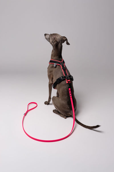 RAINLEASH Slim Neon Pink