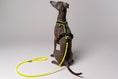 Load image into Gallery viewer, RAINLEASH Slim Neon Yellow
