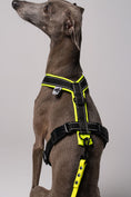Load image into Gallery viewer, RAINLEASH Slim Neon Yellow
