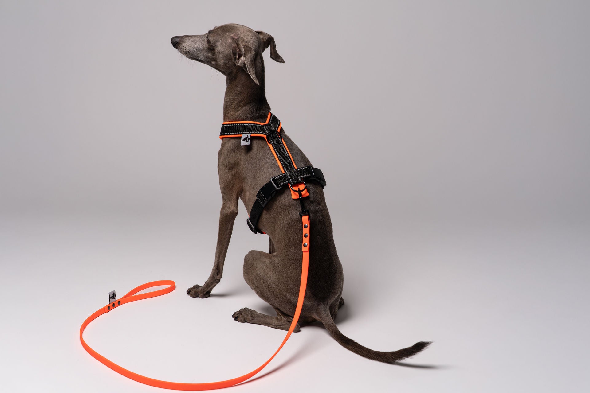 RAINLEASH Slim Neon Orange
