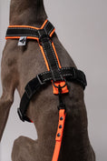 Load image into Gallery viewer, RAINLEASH Slim Neon Orange
