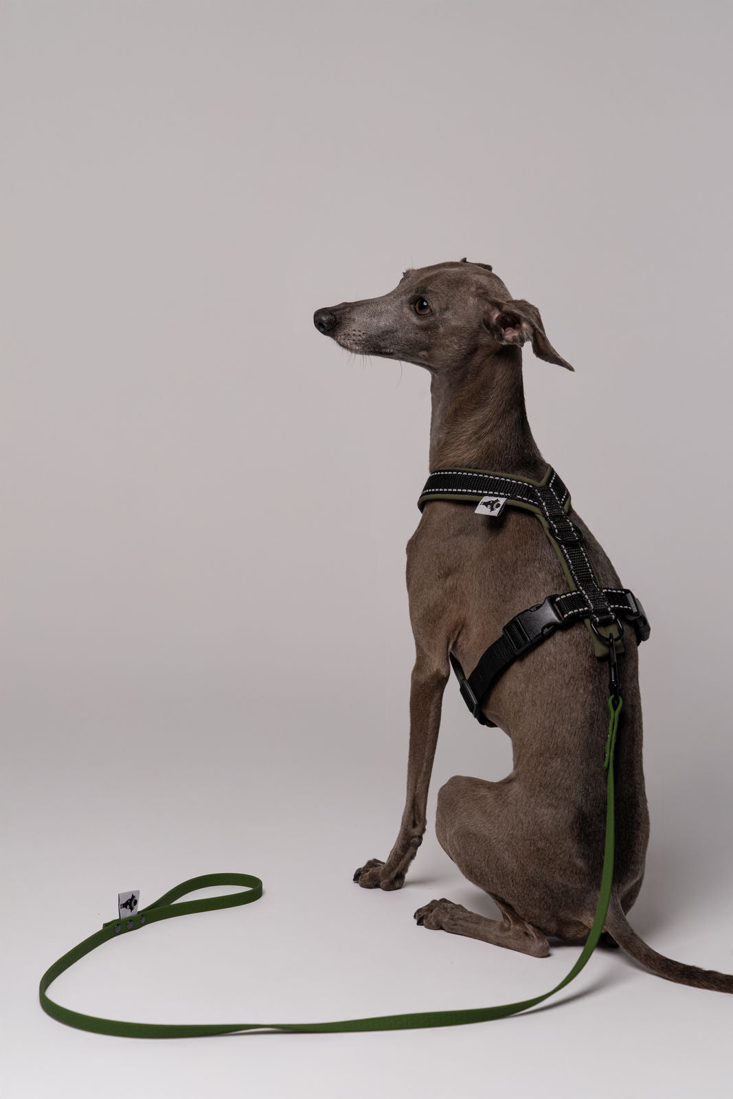 RAINLEASH Slim Dark Olive