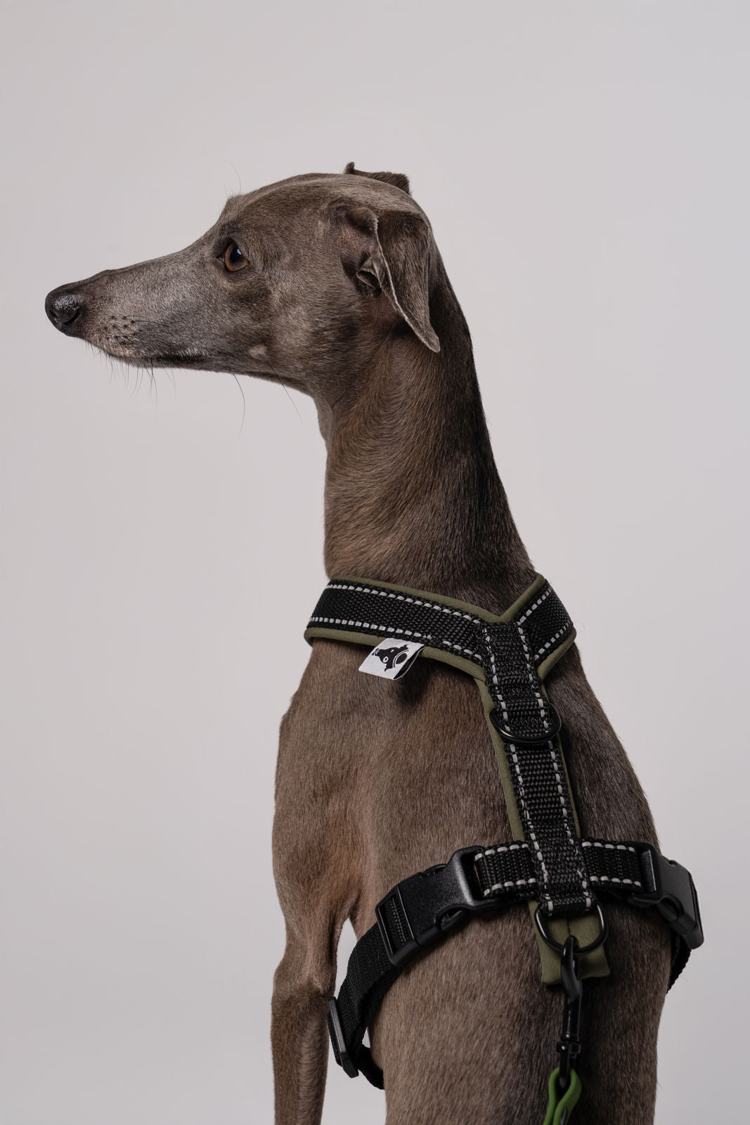 RAINLEASH Slim Dark Olive