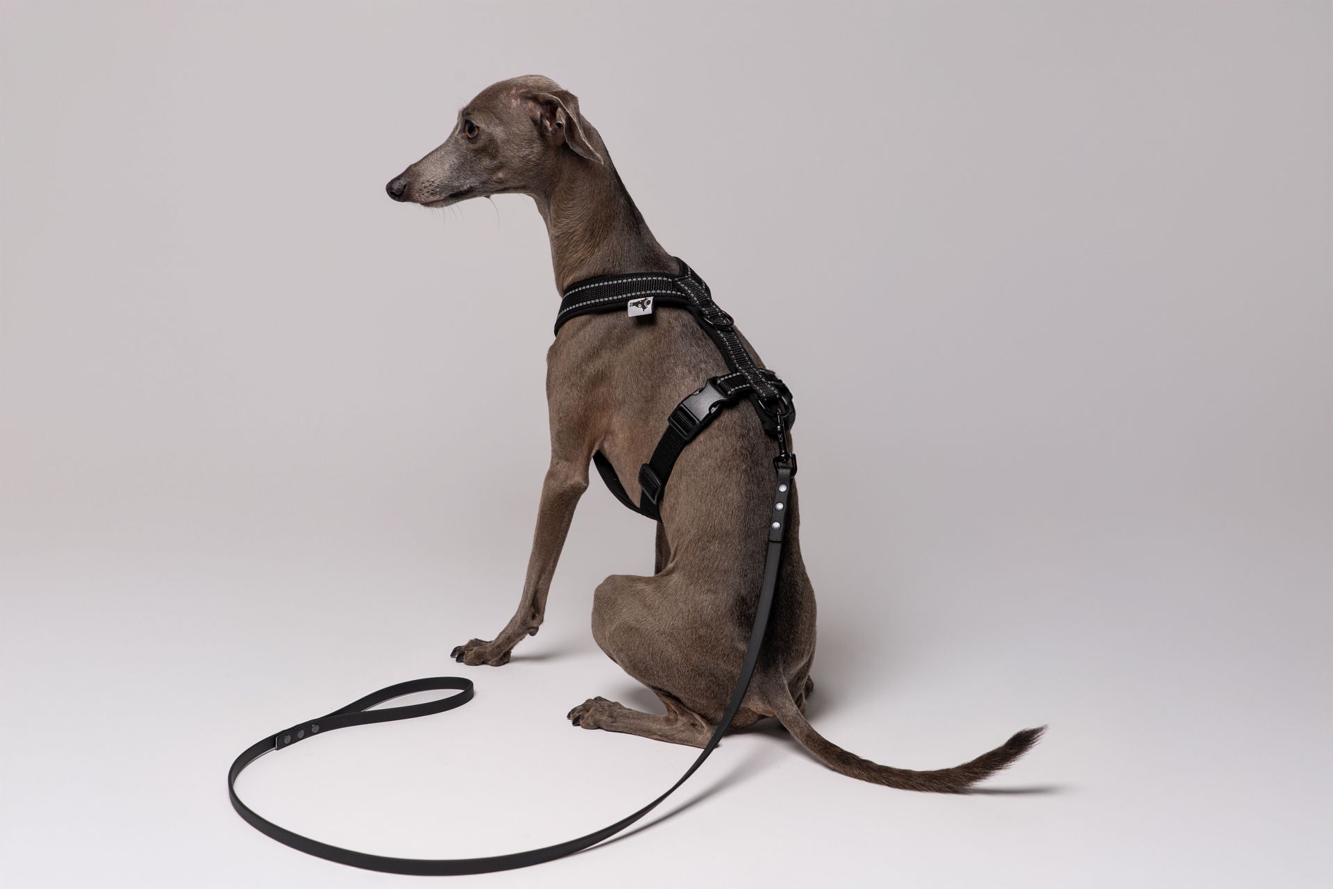 RAINLEASH Slim Schwarz