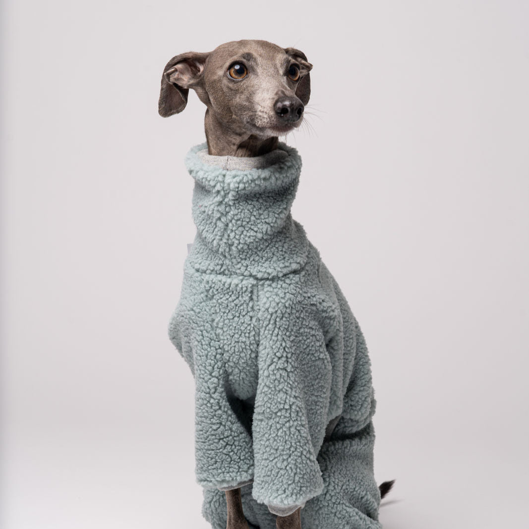 Windspiel Overall Teddy